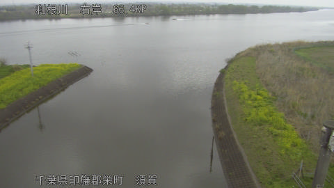 tonsu2026040413_image