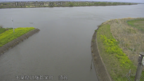 tonsu2026040414_image