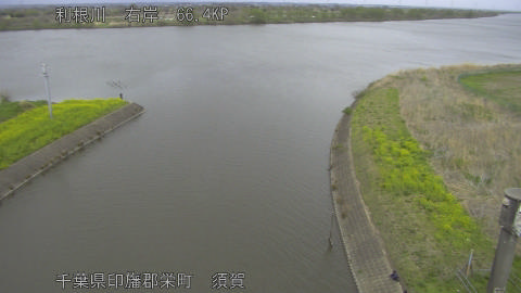 tonsu2026040415_image