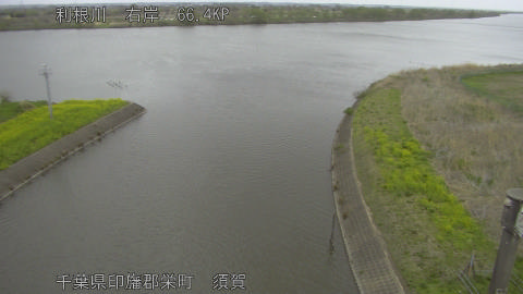 tonsu2026040416_image