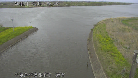 tonsu2026040417_image