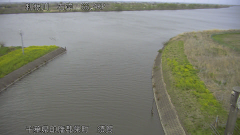 tonsu2026040418_image