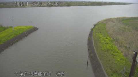 tonsu2026040506_image