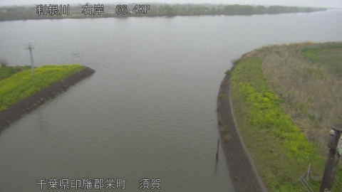 tonsu2026040507_image