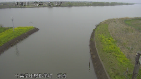 tonsu2026040508_image