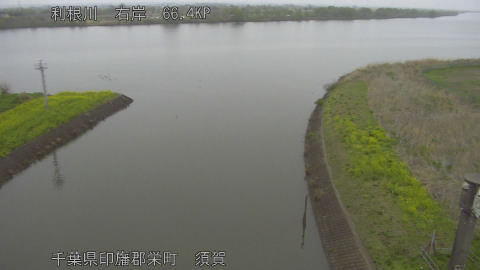 tonsu2026040509_image