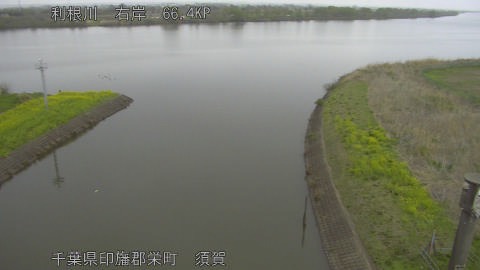 tonsu2026040510_image