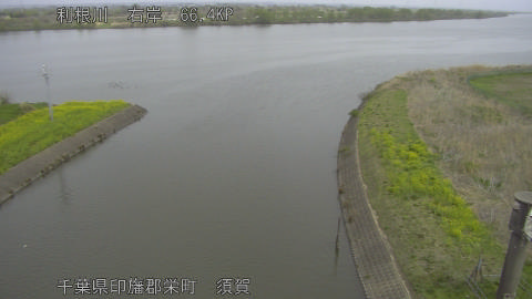 tonsu2026040511_image