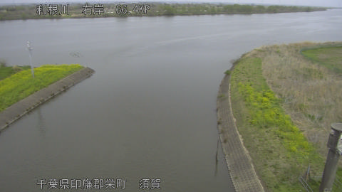 tonsu2026040512_image