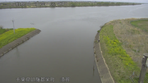 tonsu2026040513_image