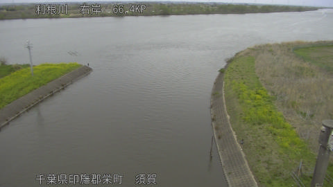 tonsu2026040514_image