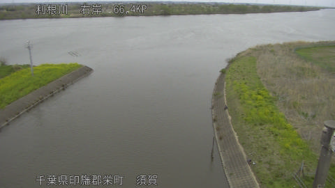 tonsu2026040515_image