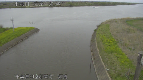 tonsu2026040516_image