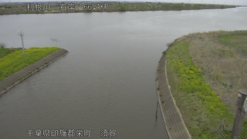 tonsu2026040517_image