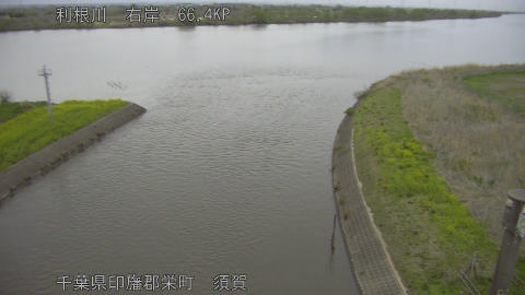 tonsu2026040518_image