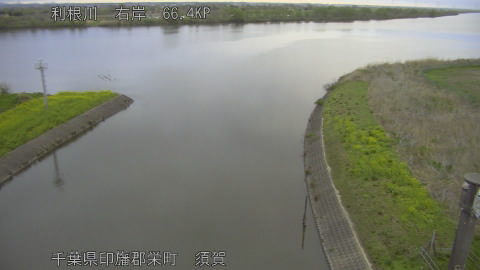 tonsu2026040606_image