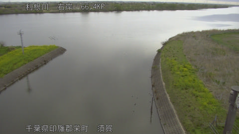 tonsu2026040607_image