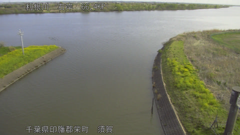 tonsu2026040608_image