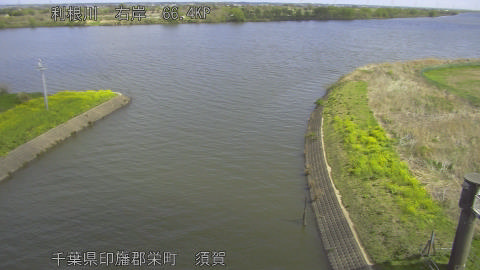 tonsu2026040610_image