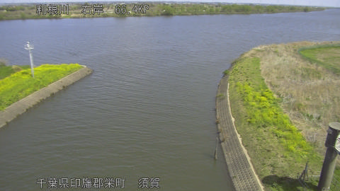 tonsu2026040611_image