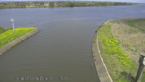 tonsu2026040612_image