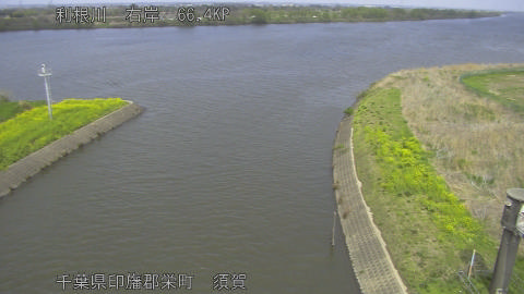 tonsu2026040613_image