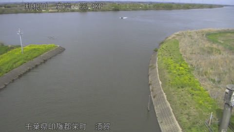 tonsu2026040614_image