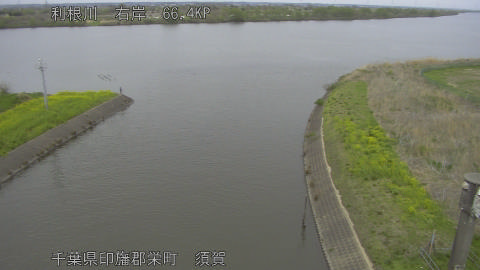 tonsu2026040615_image