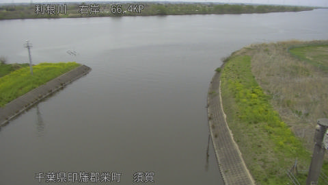 tonsu2026040616_image