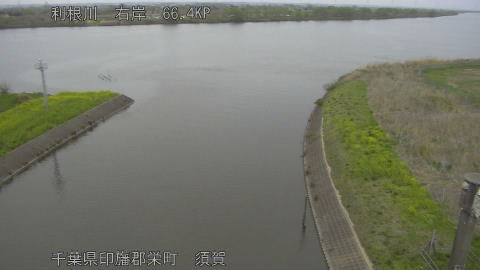 tonsu2026040617_image