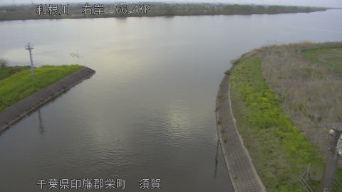 tonsu2026040618_image