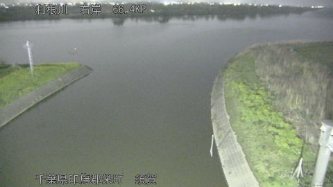 tonsu2026040620_image