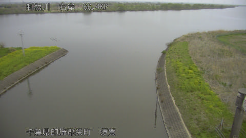 tonsu2026040706_image