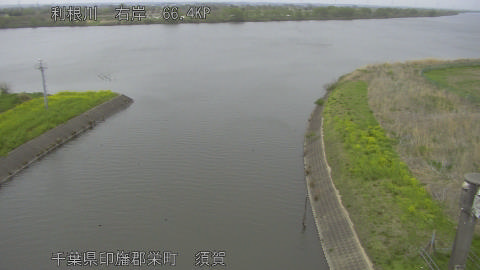 tonsu2026040709_image