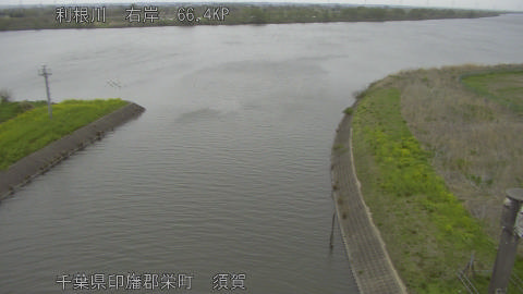 tonsu2026040710_image