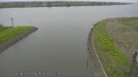 tonsu2026040711_image