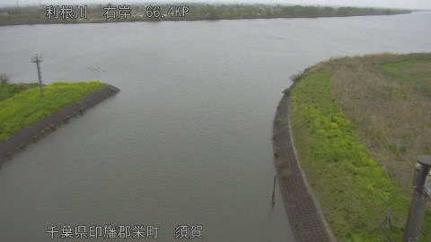 tonsu2026040712_image