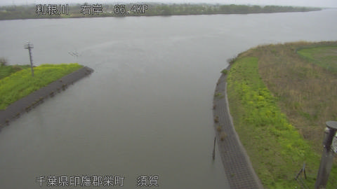 tonsu2026040713_image