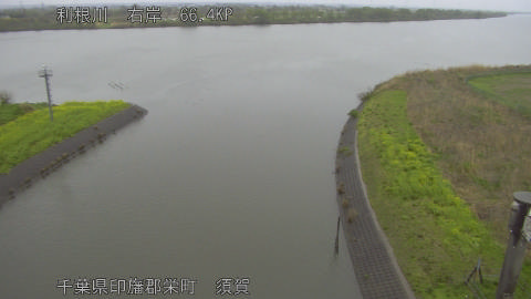 tonsu2026040714_image