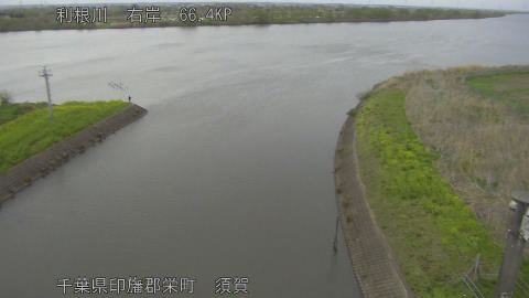 tonsu2026040716_image