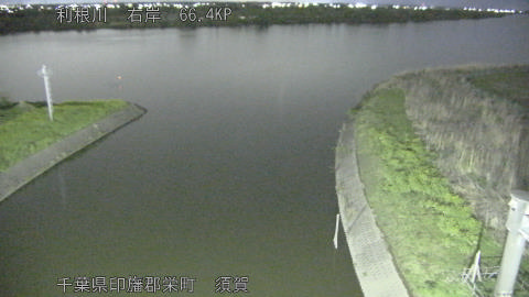 tonsu2026040723_image