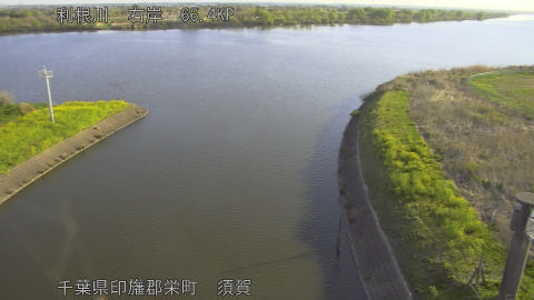 tonsu2026040807_image