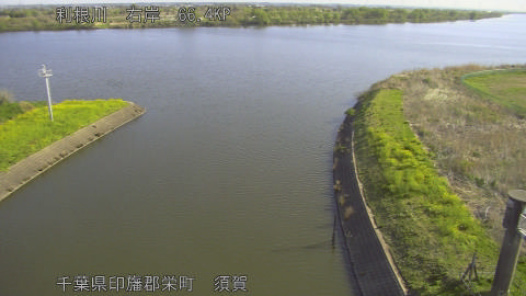 tonsu2026040808_image