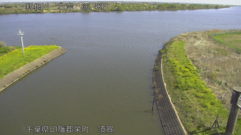 tonsu2026040809_image