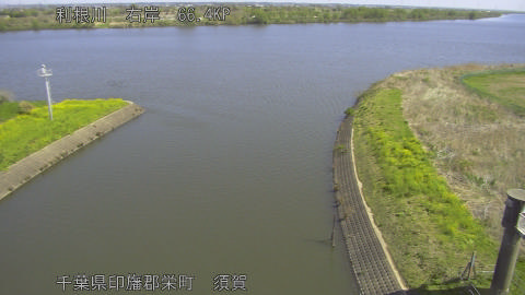 tonsu2026040810_image