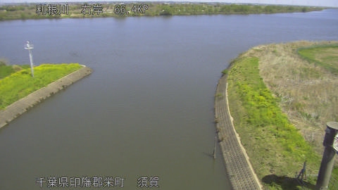 tonsu2026040811_image