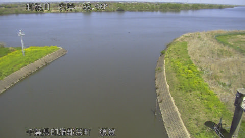 tonsu2026040812_image