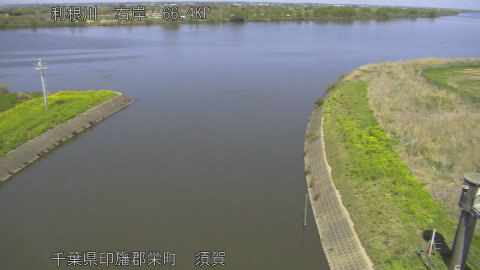 tonsu2026040813_image