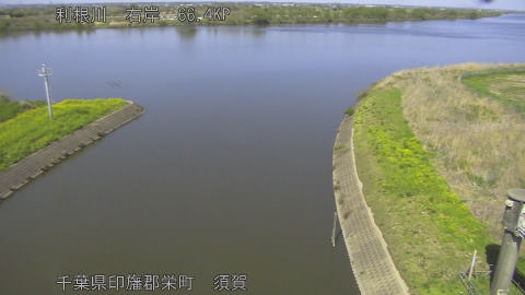 tonsu2026040814_image