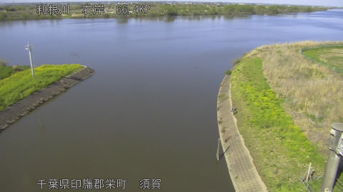 tonsu2026040815_image